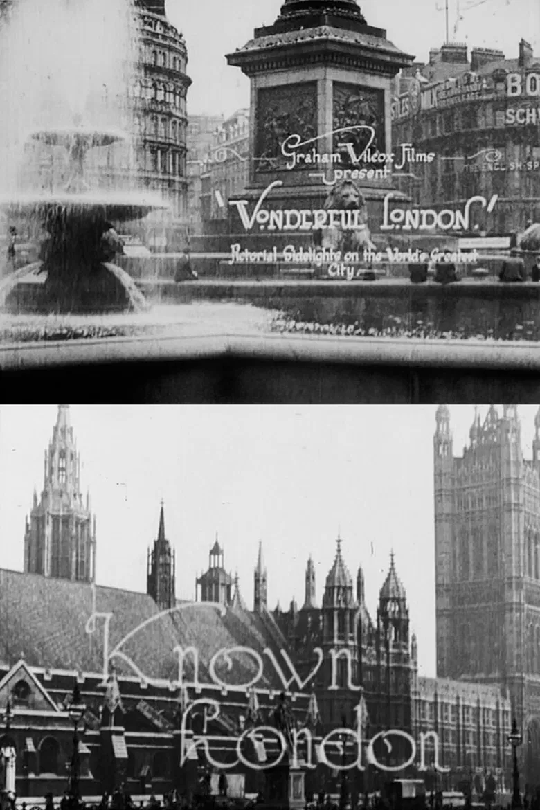 Wonderful London: Known London poster background