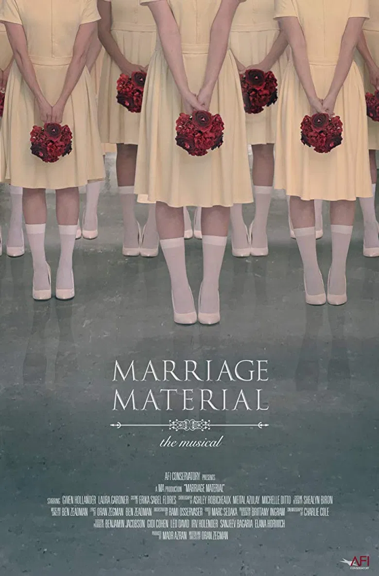 Marriage Material poster background