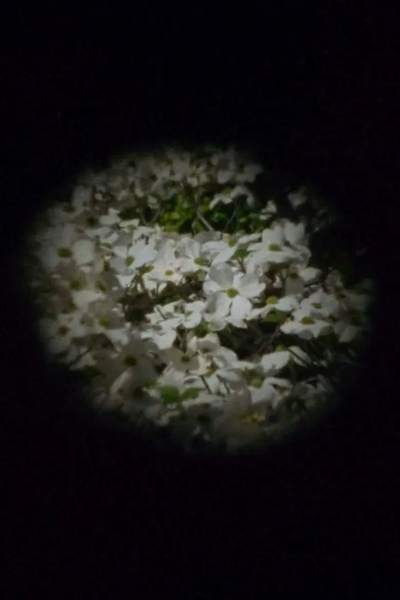 Estuary poster background