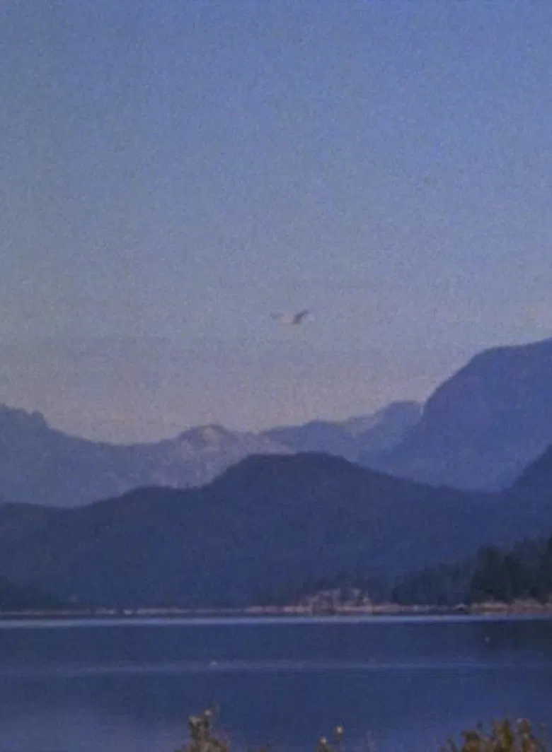 Landscape poster background