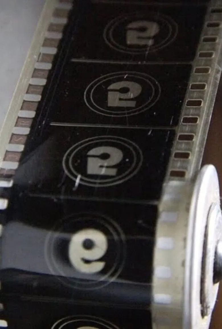 Lapidar o Bruto poster background