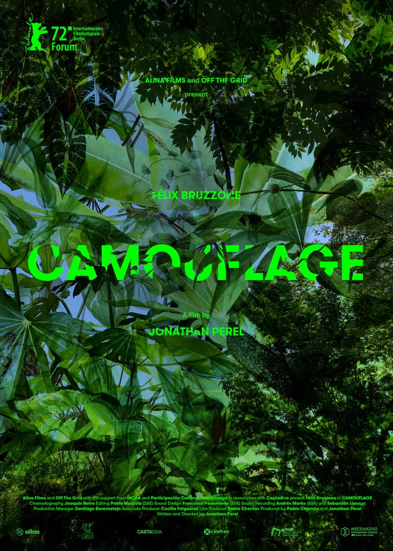 Camouflage poster background