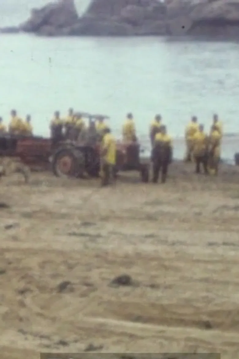 Collection série noire : Tome 4 poster background