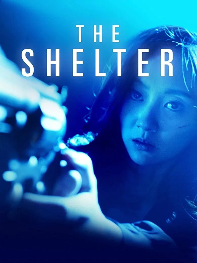 The Shelter poster background