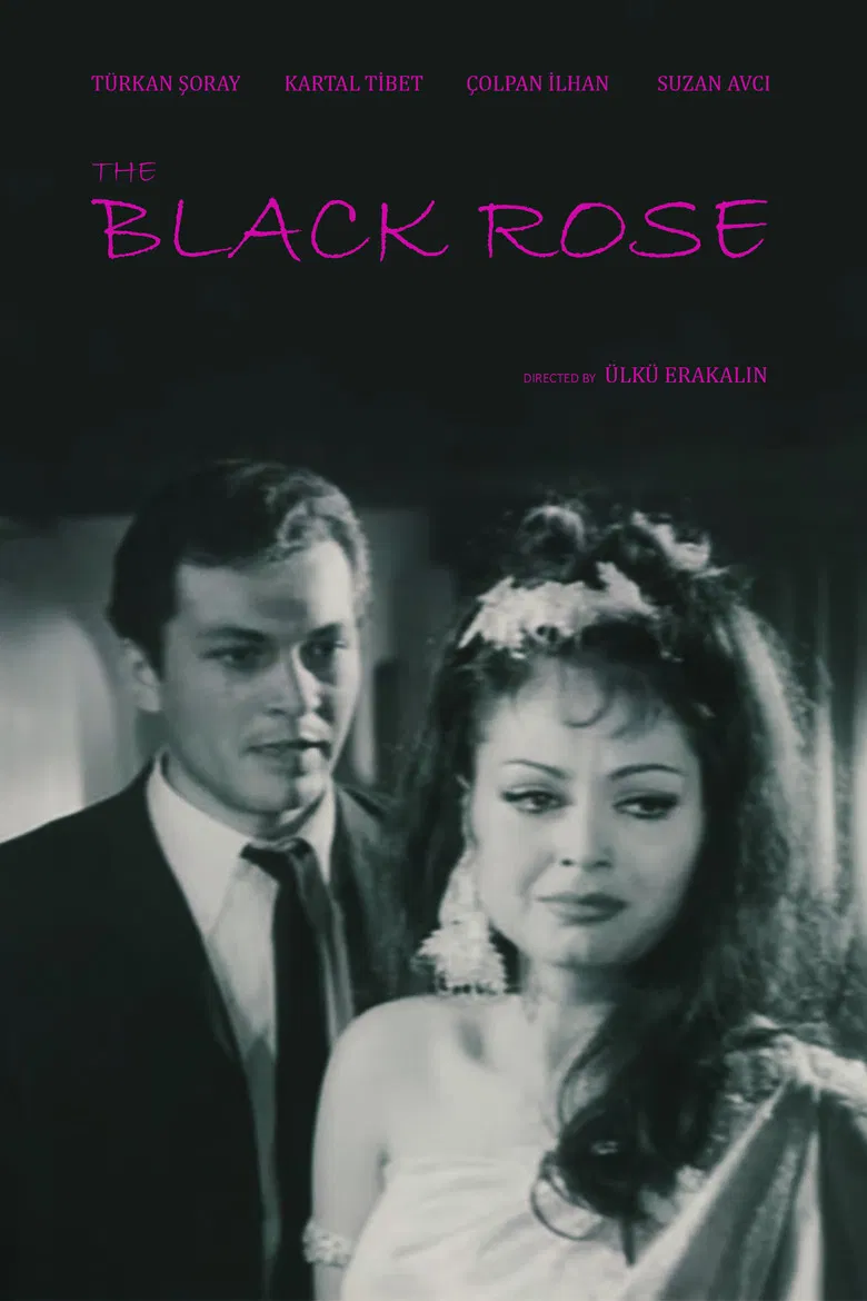 Black Rose poster background