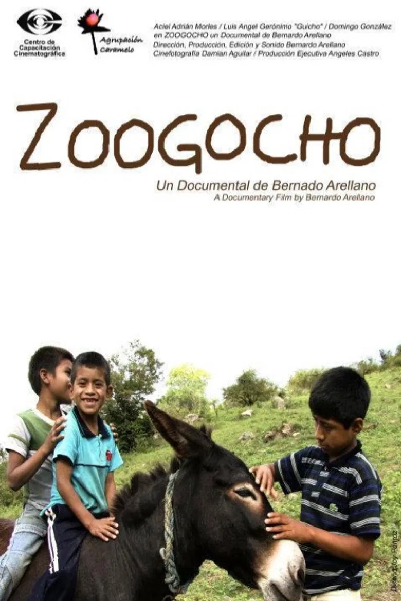 Zoogocho poster background