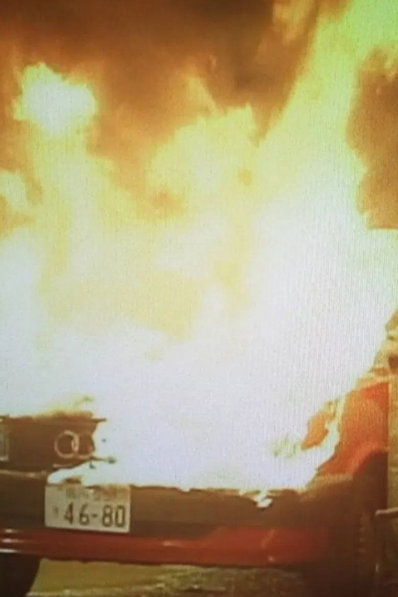 おとり捜査官・北見志穂Ⅱ poster background