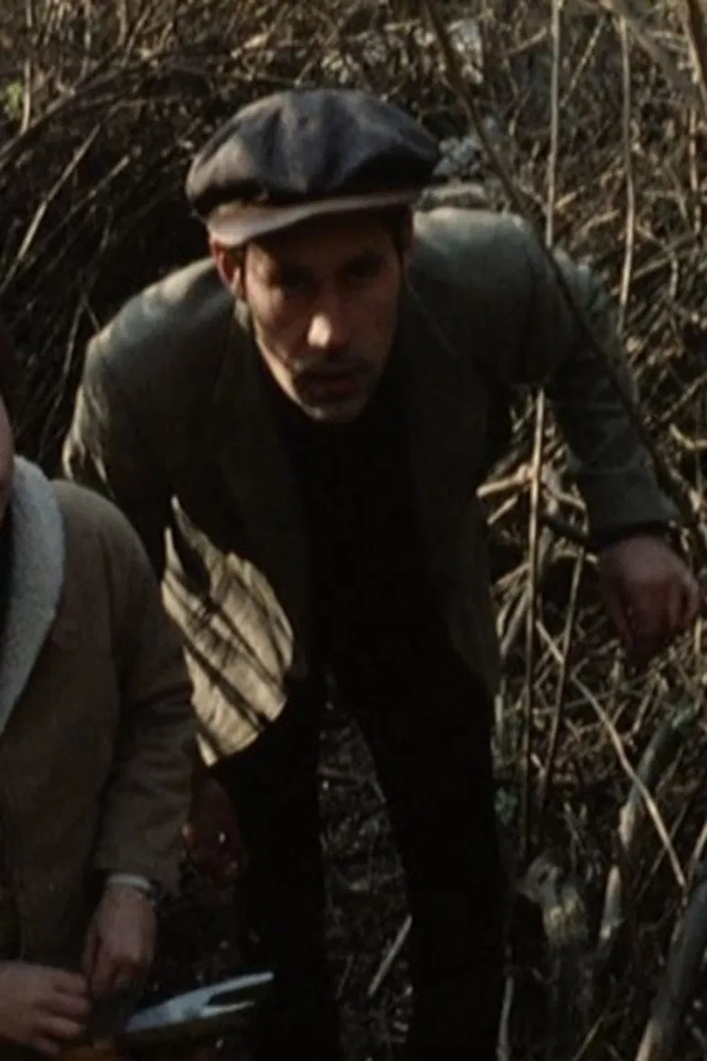 Visage de chien poster background