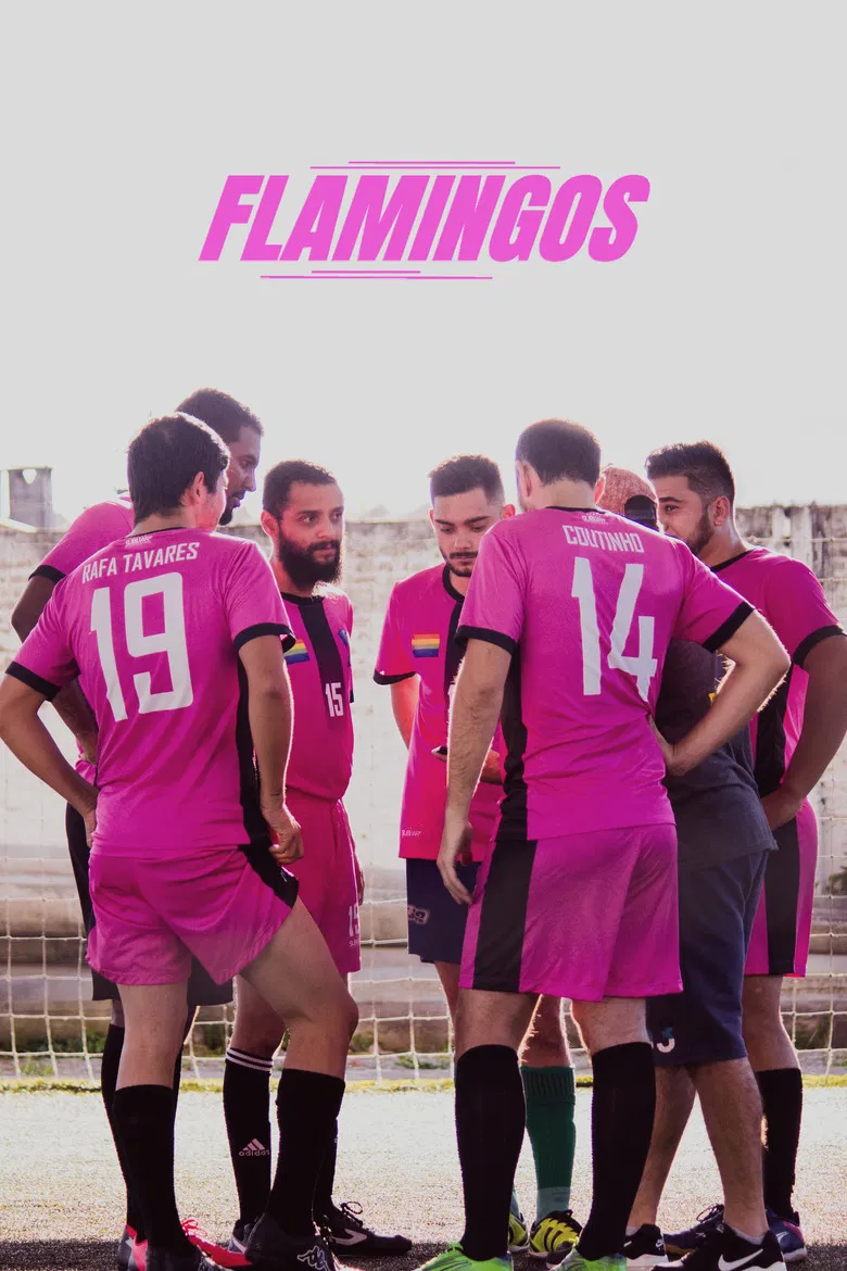 Flamingos poster background