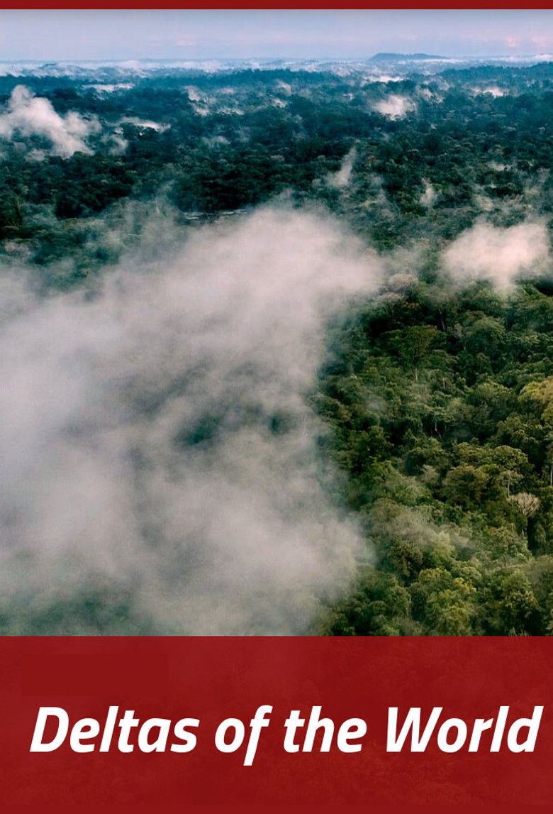 Deltas of the World poster background