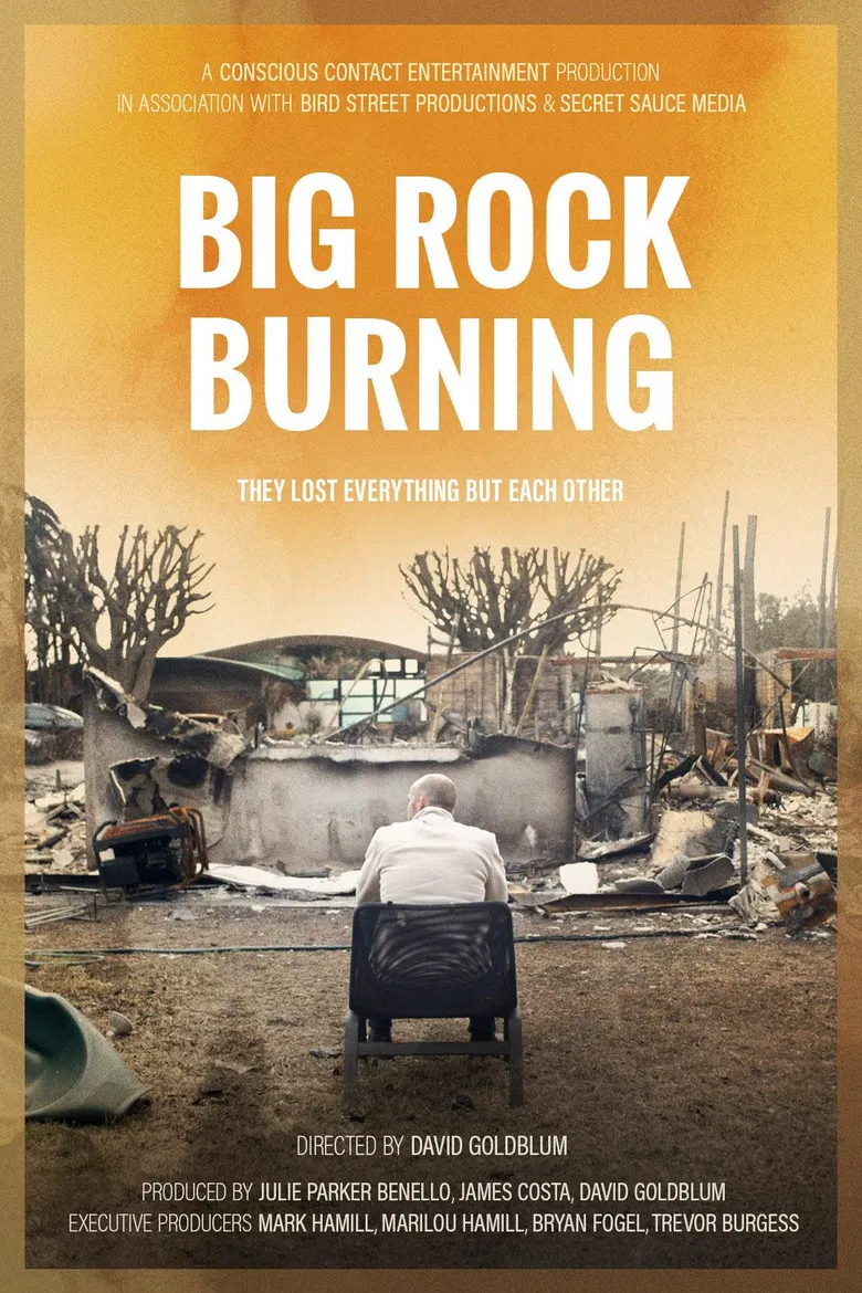 Big Rock Burning poster background