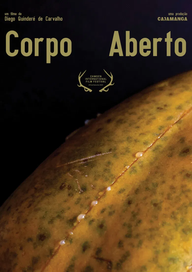 Corpo Aberto poster background