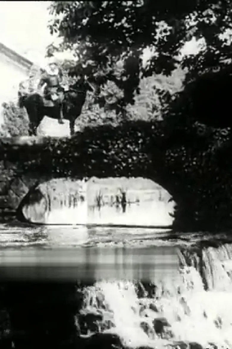 The Béarnaise Girl poster background