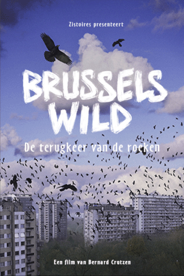 Bruxelles Sauvage - Le retour des corbeaux poster background