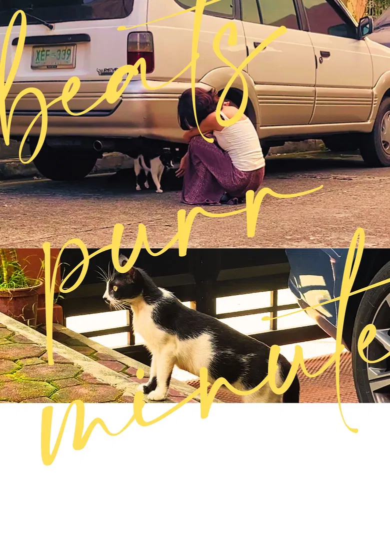 beats purr minute poster background