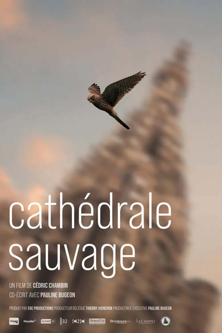 Cathédrale sauvage poster background