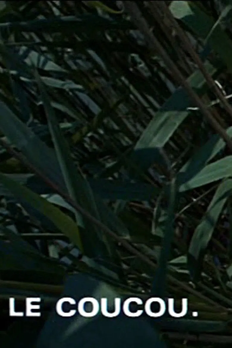 Le coucou poster background