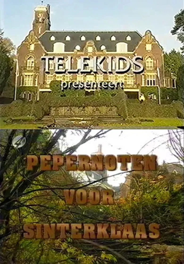 Pepernoten voor Sinterklaas poster background