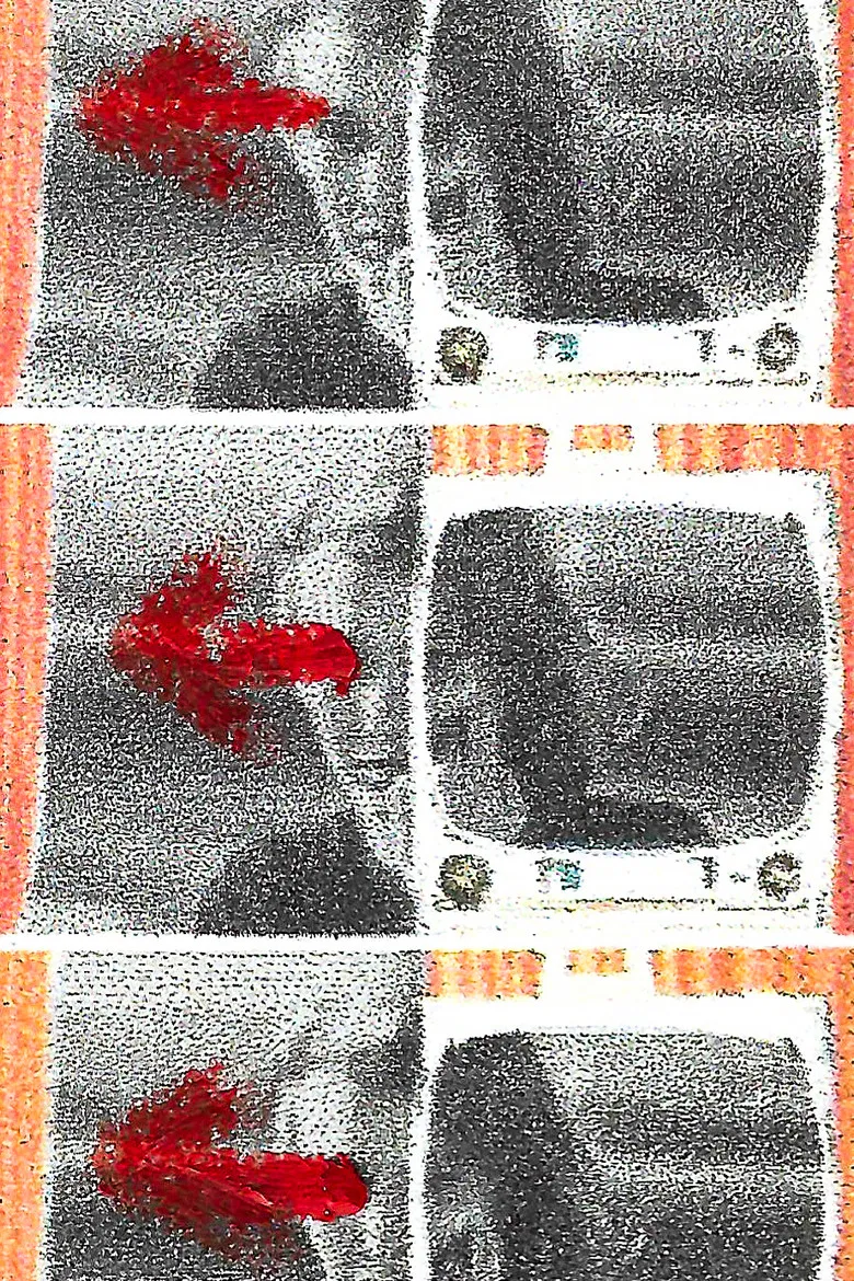 My Glances Went Like Gleaners poster background