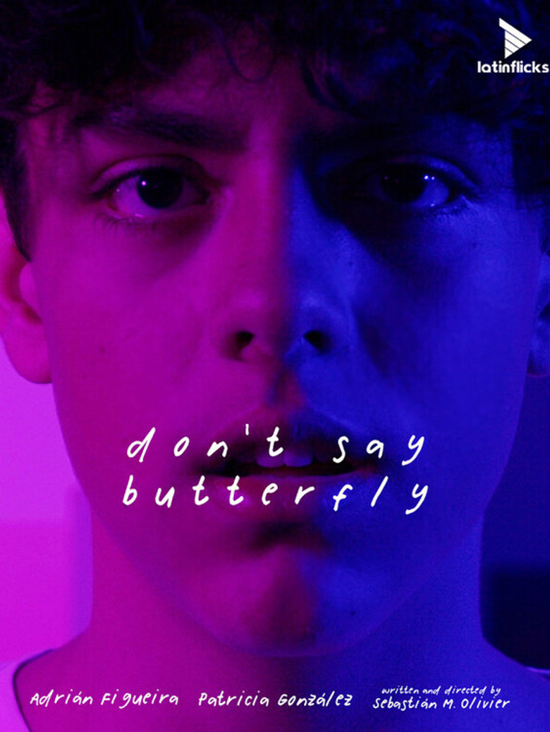 Don't Say Butterfly poster background