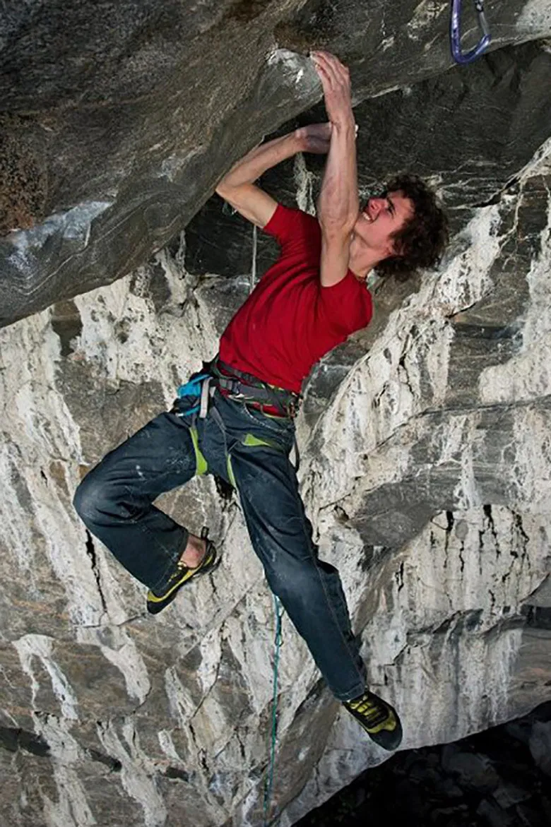 The Wizard's Apprentice poster background