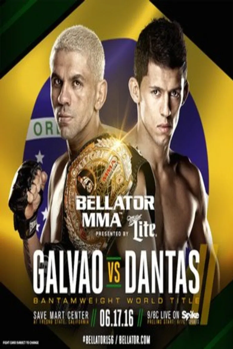 Bellator 156:  Galvao vs. Dantas 2 poster background