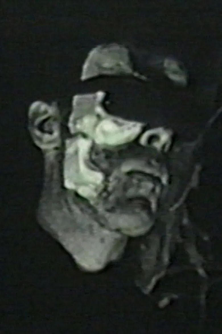 Birdheart Pie poster background