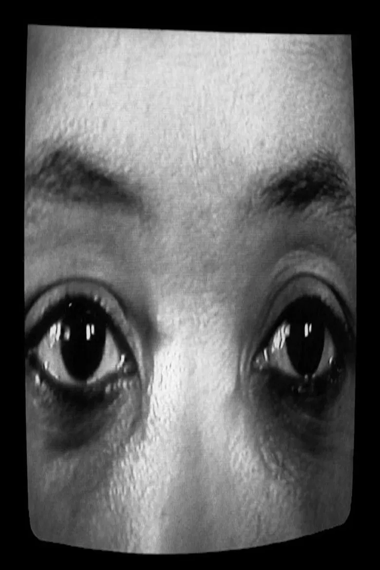 Creating a Different Image: Portrait of Alile Sharon Larkin poster background