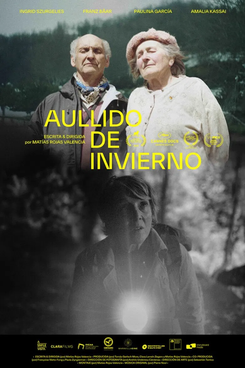 Winter Howl poster background