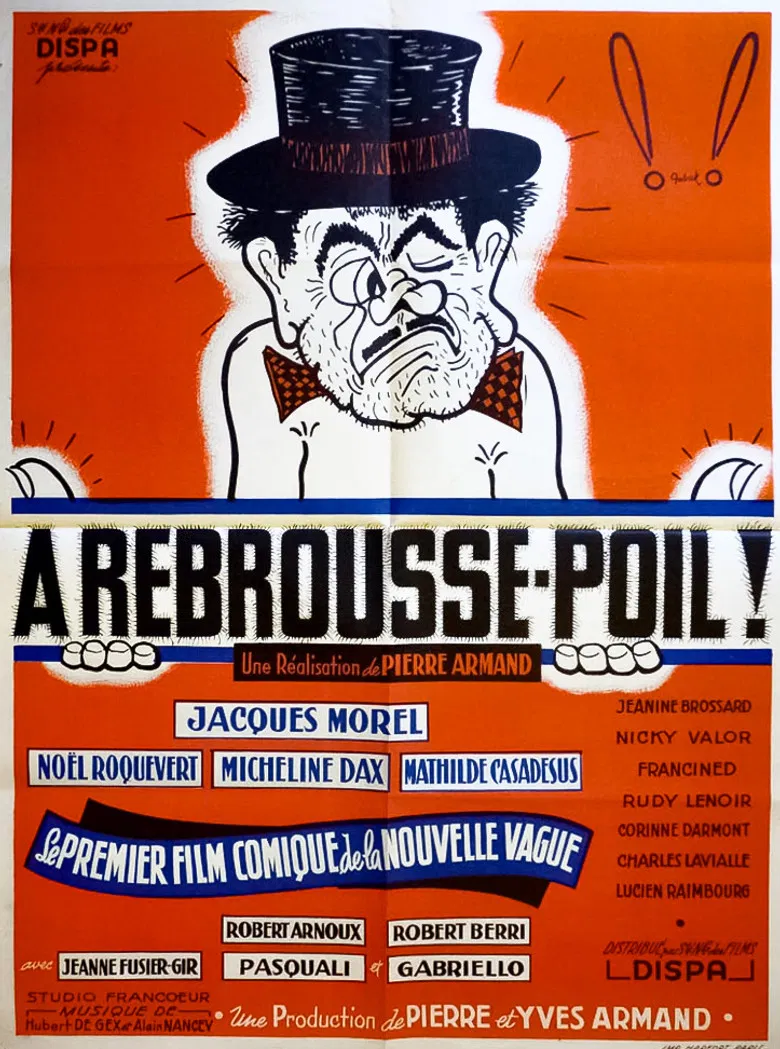 À rebrousse-poil poster background