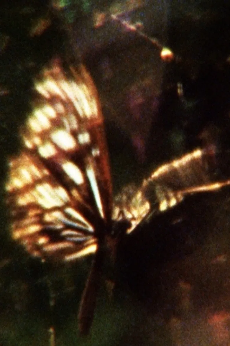 A Flea’s Skin Would Be Too Big For You poster background