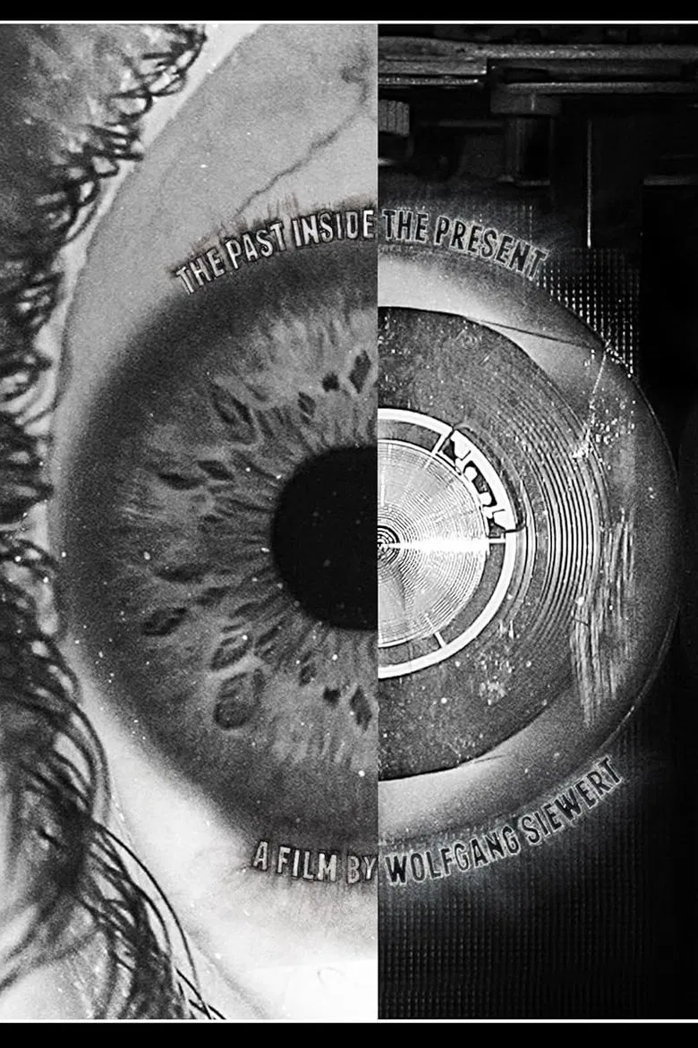 The Past Inside The Present poster background