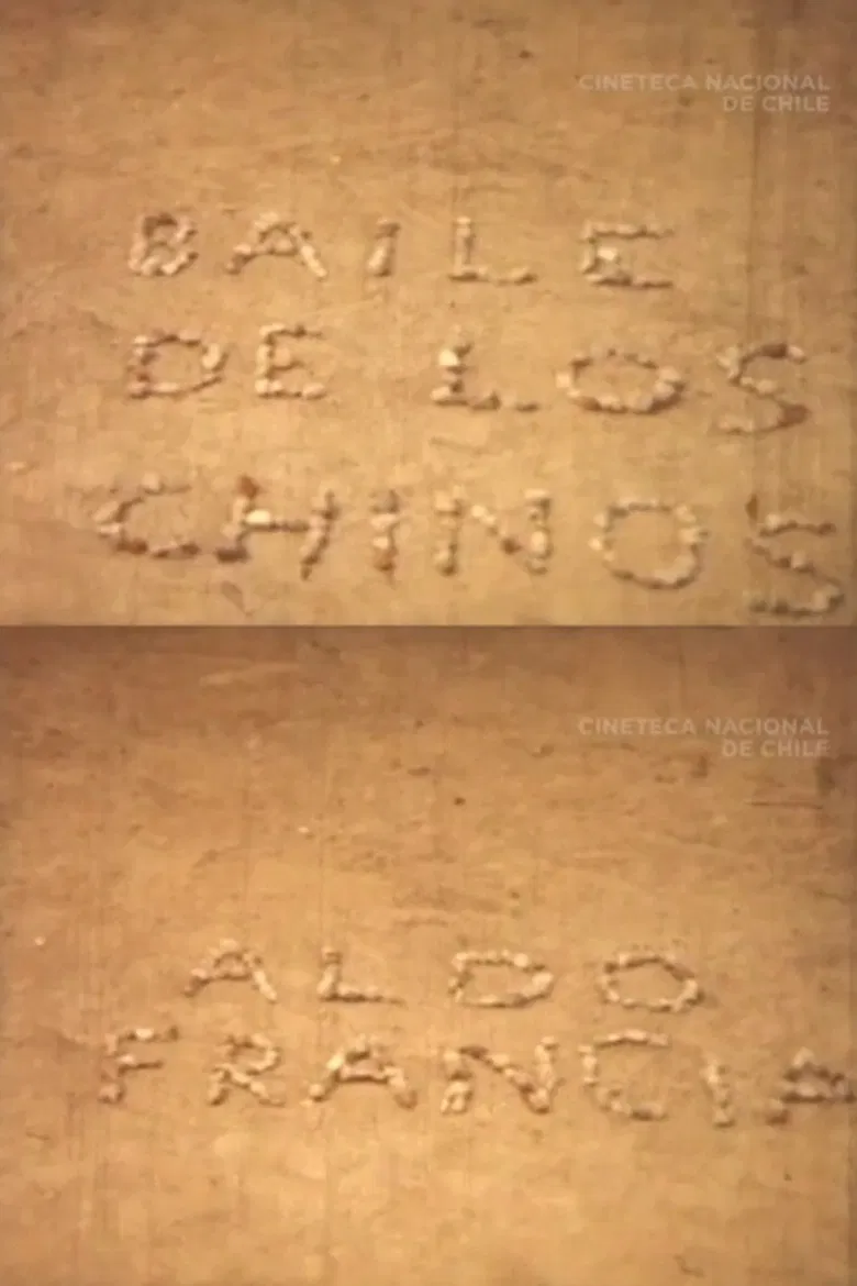 Baile de los Chinos poster background