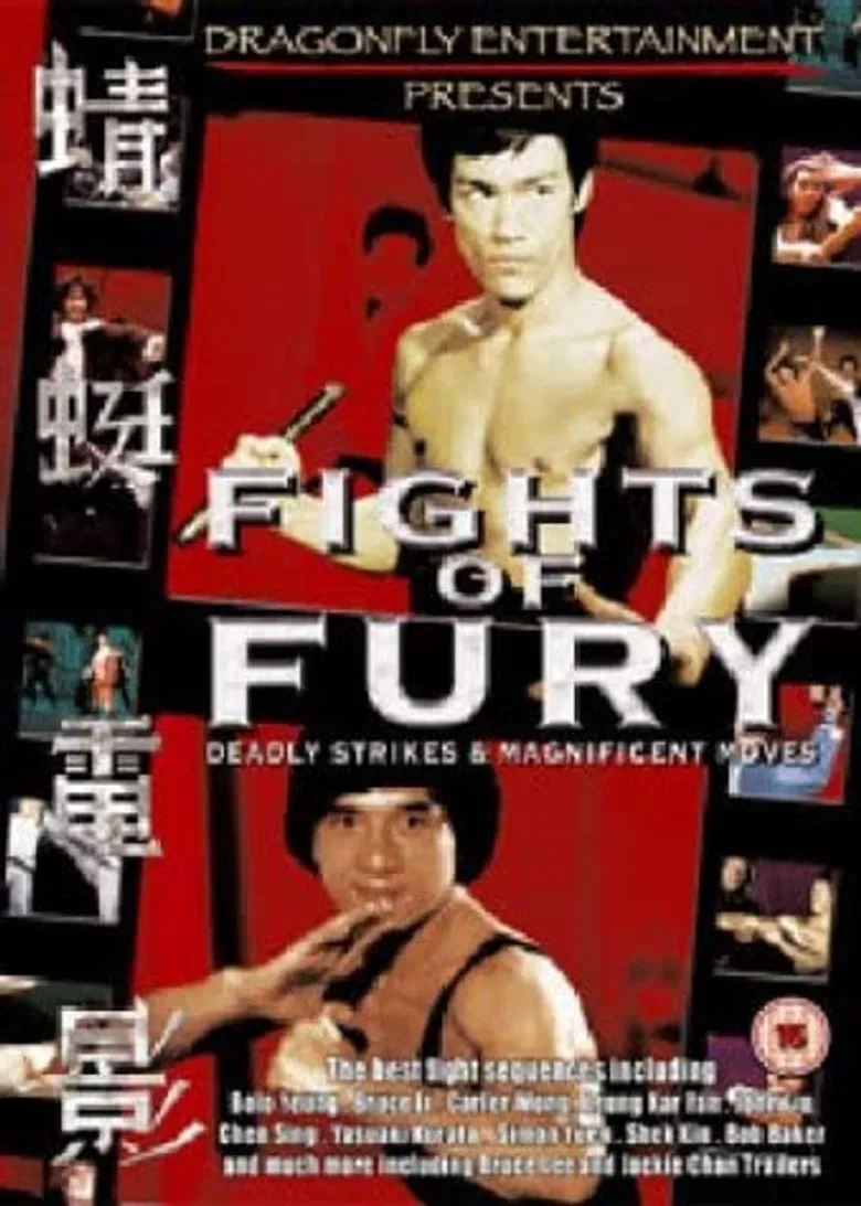 Fights of Fury poster background