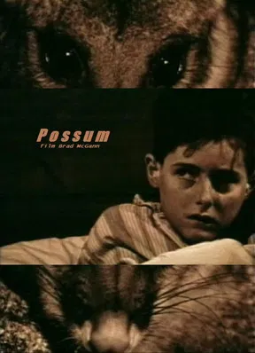 Possum poster background