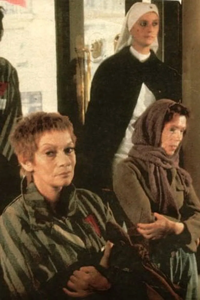 Le Retour d'Elisabeth Wolff poster background