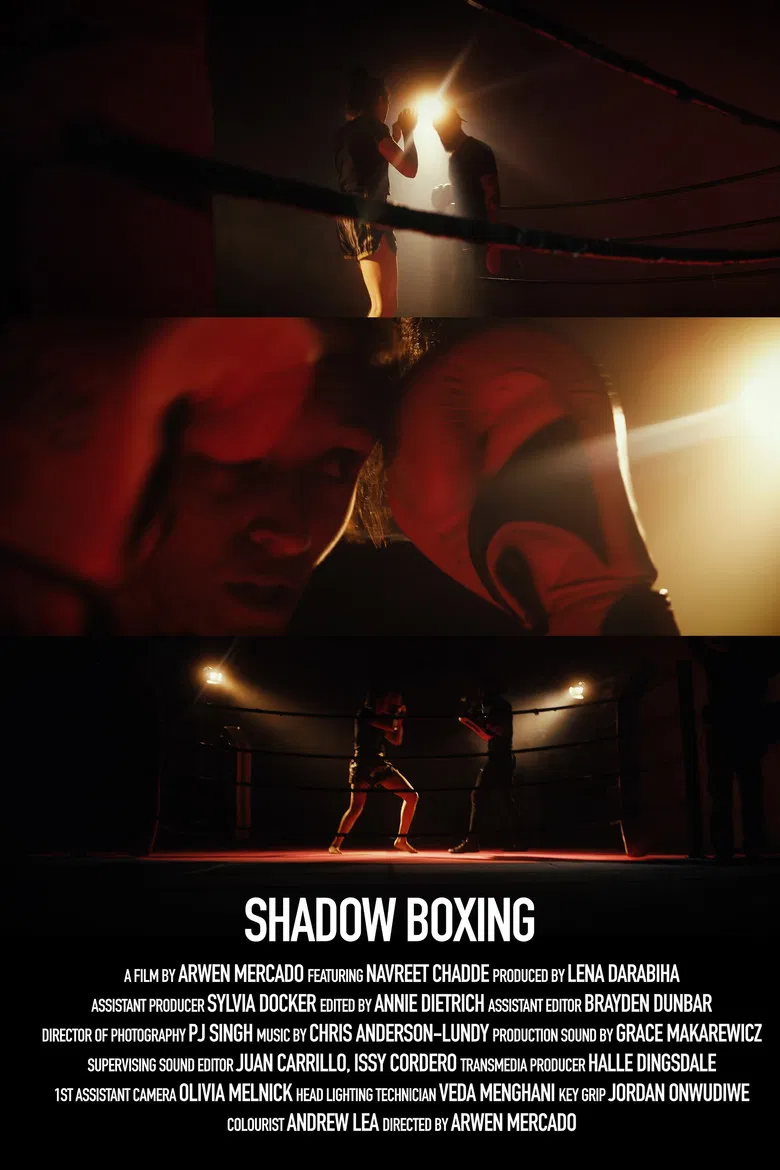 Shadow Boxing poster background