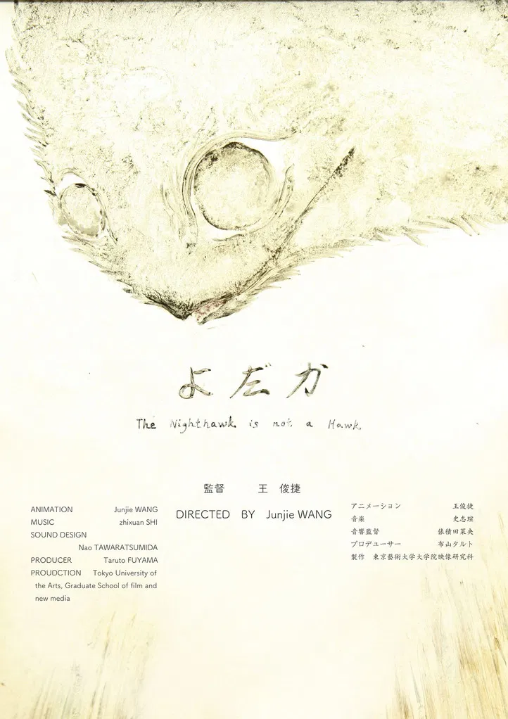 The Nighthawk Is Not a Hawk poster background