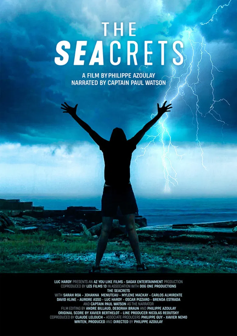 The Seacrets poster background