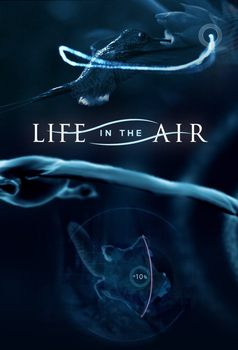 Life in the Air poster background