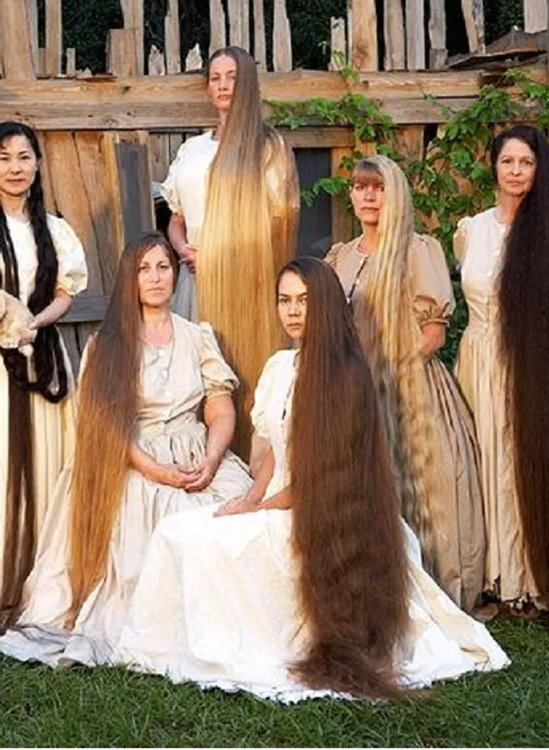 Cheese poster background