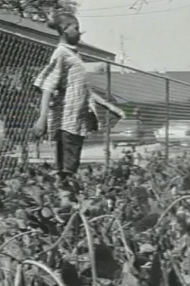 Imported poster background