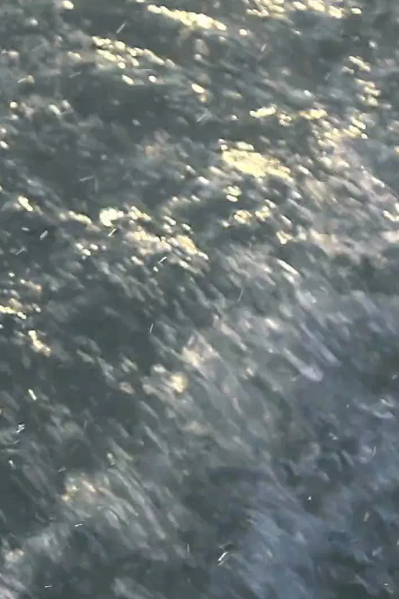 Contour poster background