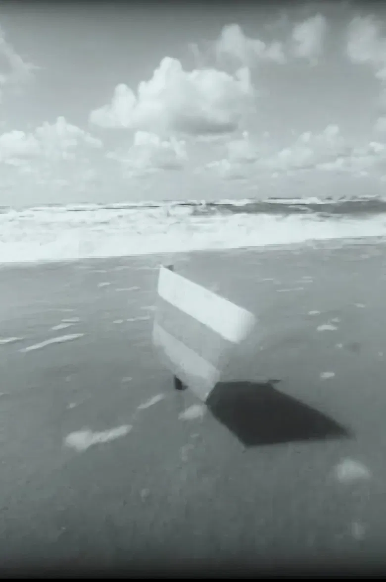 Should I bring in "Antį" now? poster background