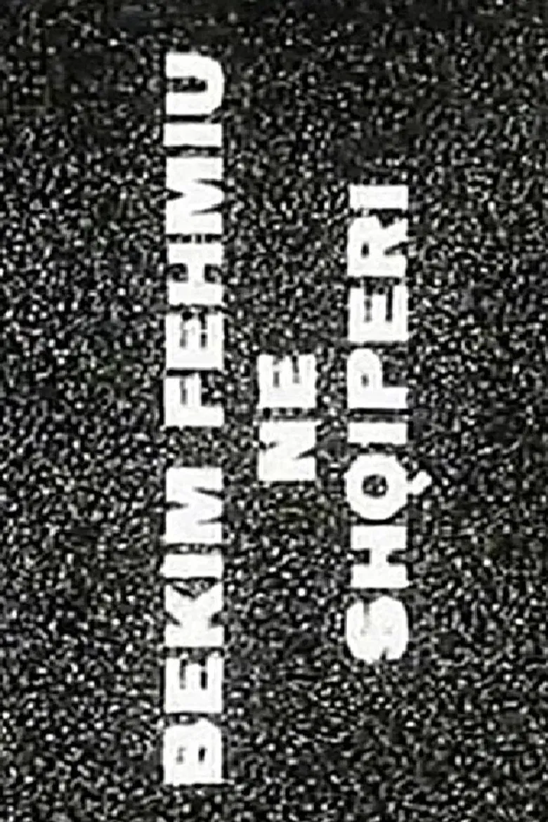 Bekim Fehmiu Visits Albania poster background