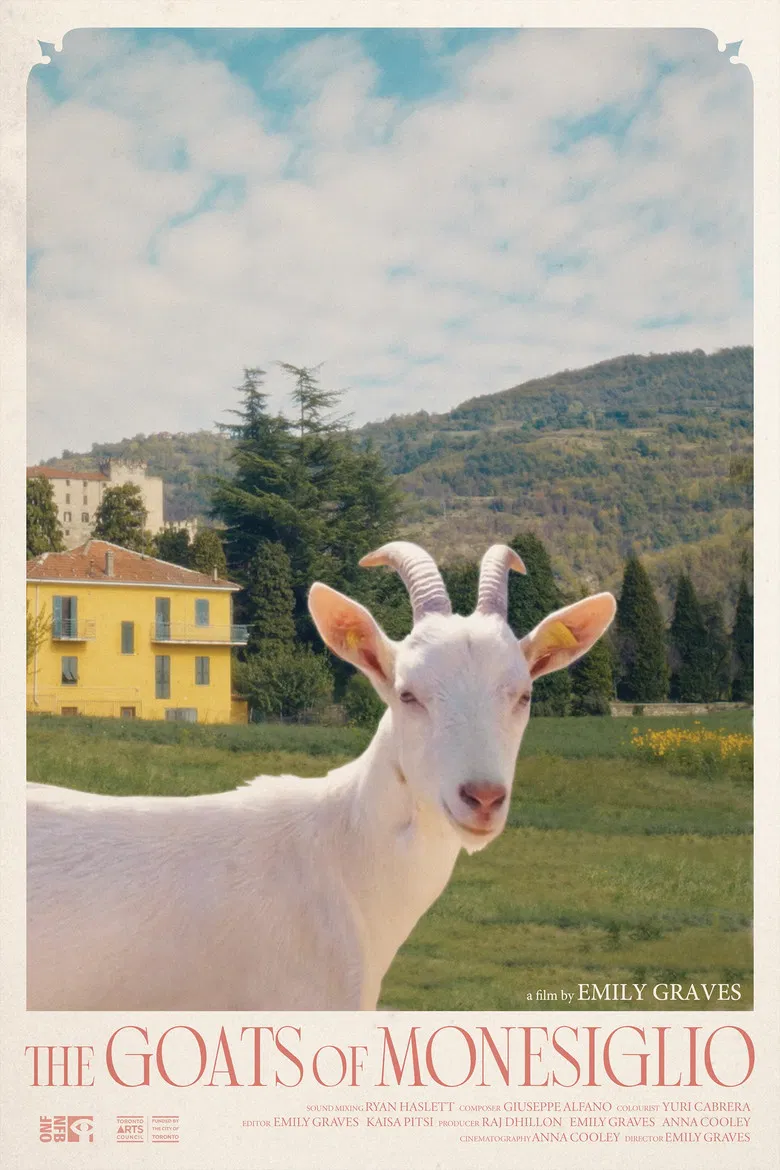 The Goats of Monesiglio poster background