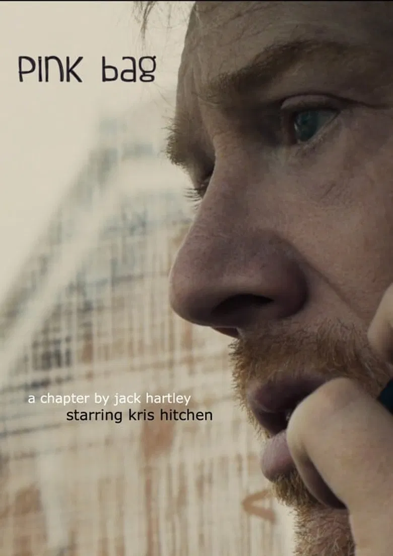 Pink Bag poster background