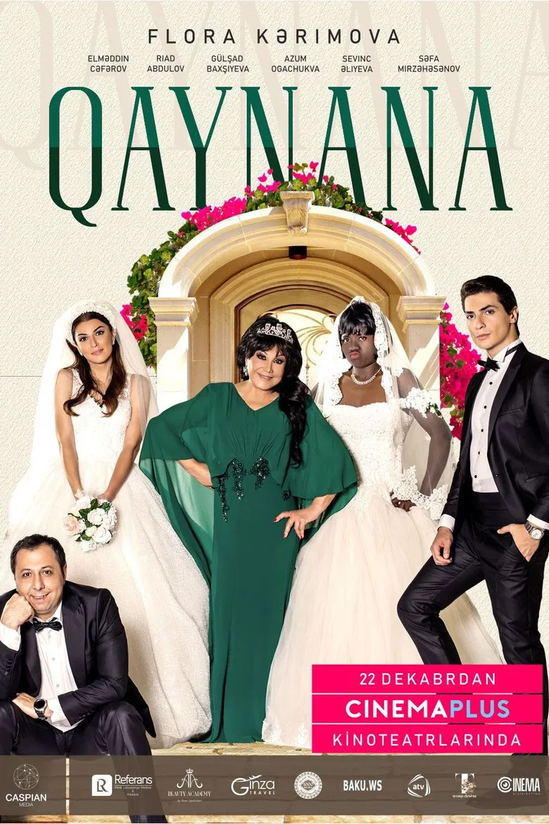 The Mother-in-Law poster background