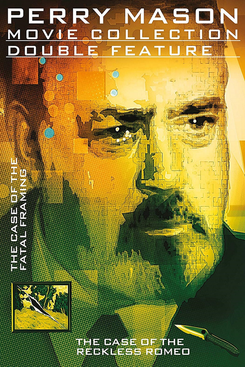 Perry Mason: The Case of the Fatal Framing poster background