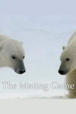The Mating Game poster background